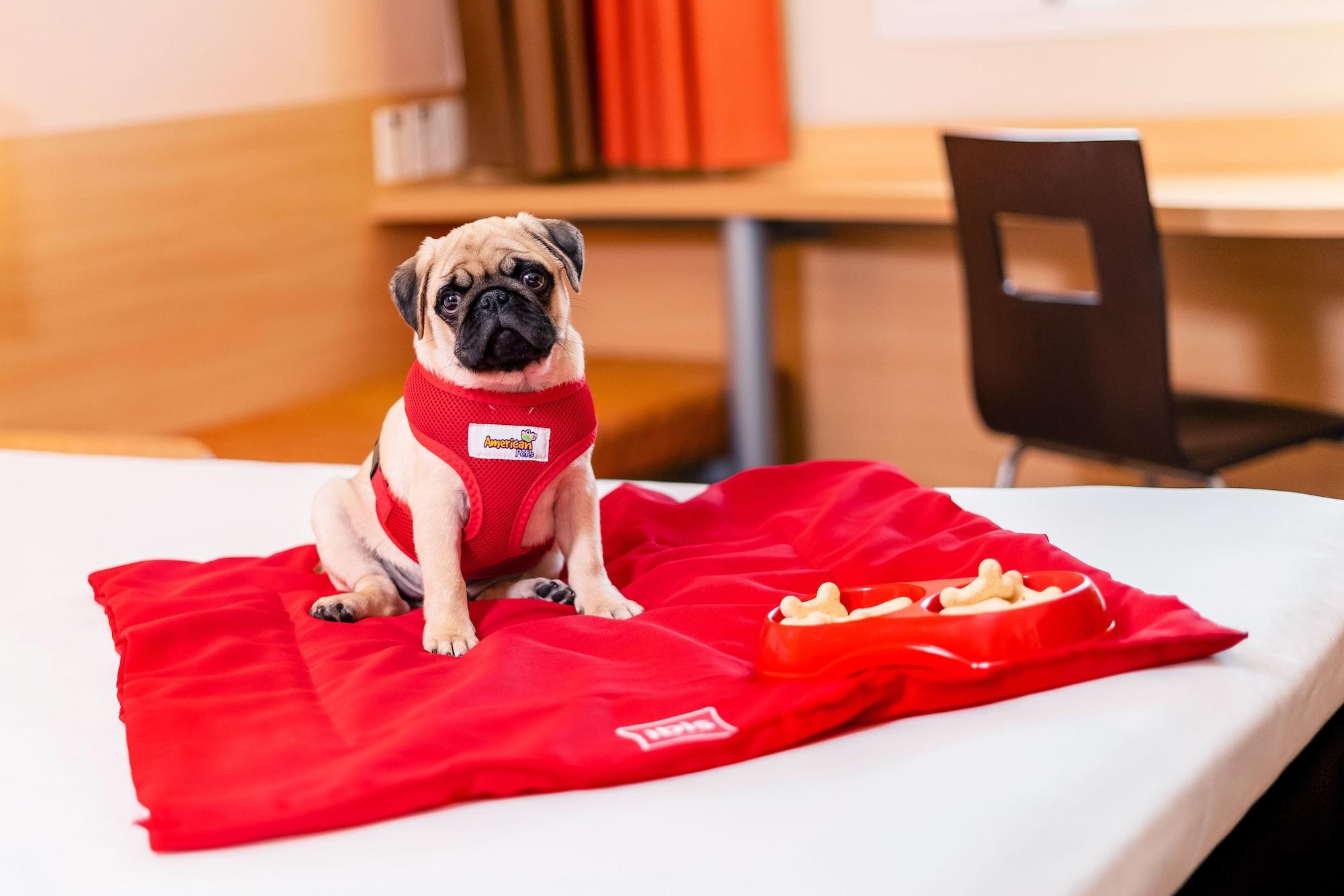 Ibis Sao Paulo Interlagos エクステリア 写真